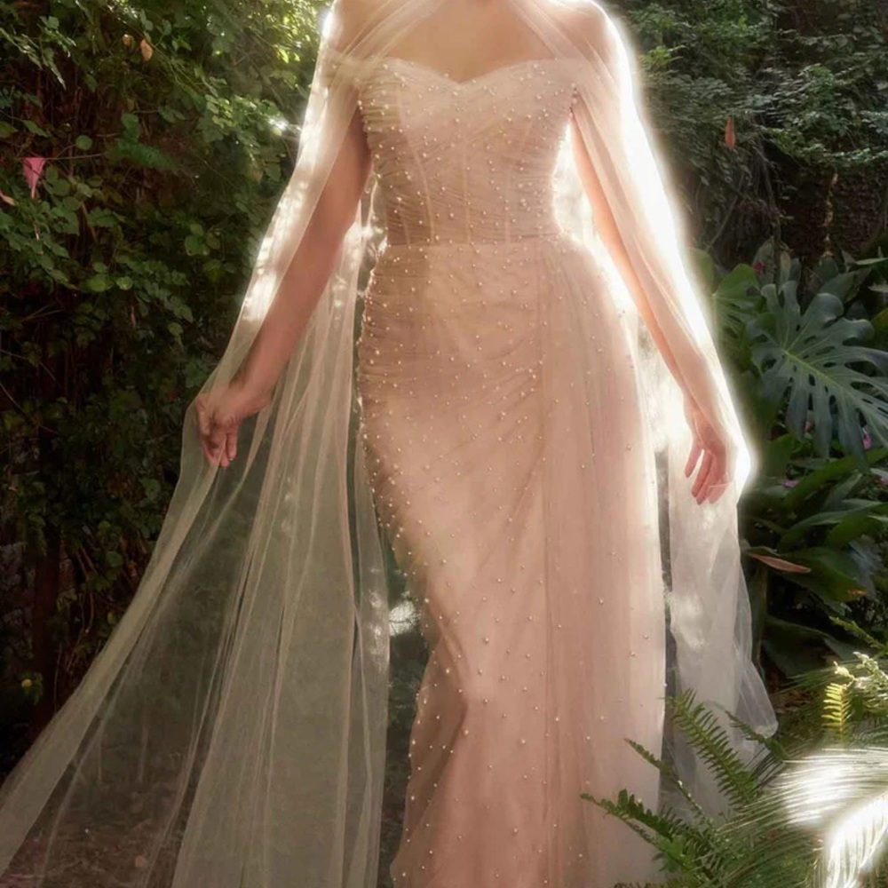 Elegant Blush Evening Gown